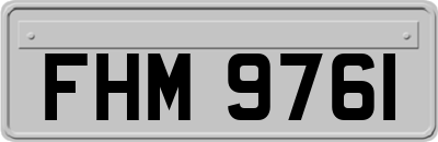 FHM9761