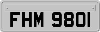 FHM9801
