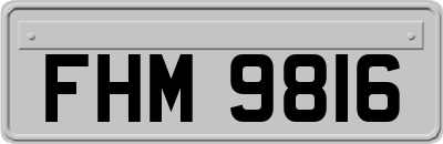 FHM9816