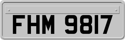 FHM9817