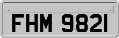 FHM9821