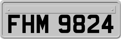 FHM9824