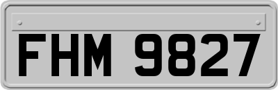 FHM9827