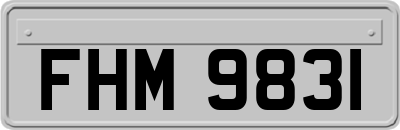 FHM9831