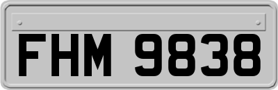 FHM9838