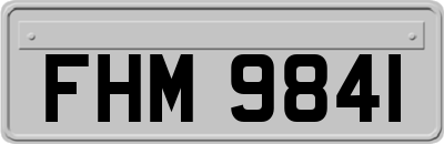 FHM9841