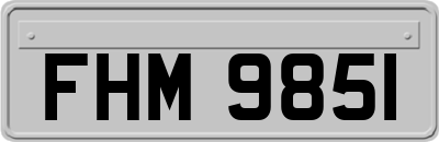FHM9851