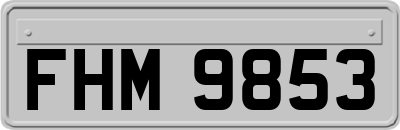 FHM9853