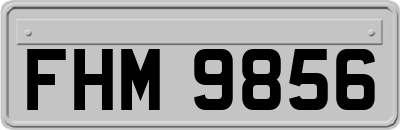 FHM9856