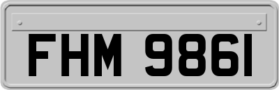 FHM9861