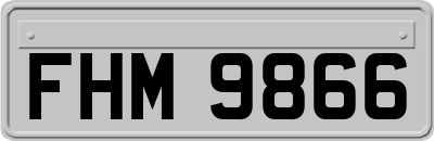 FHM9866