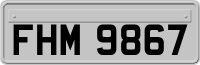 FHM9867