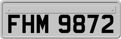 FHM9872
