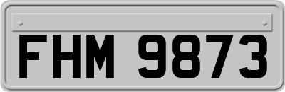 FHM9873