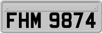 FHM9874