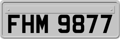 FHM9877