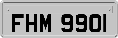FHM9901