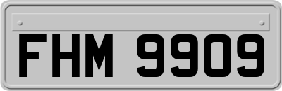 FHM9909