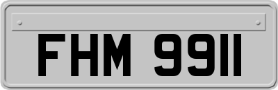 FHM9911