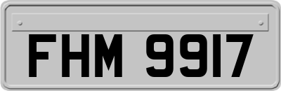FHM9917