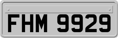 FHM9929