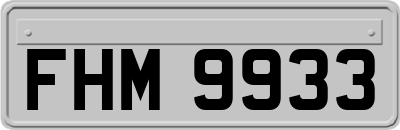 FHM9933