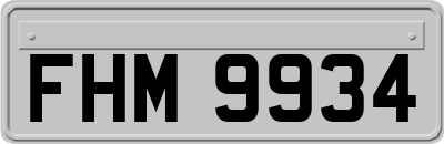 FHM9934