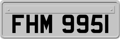 FHM9951