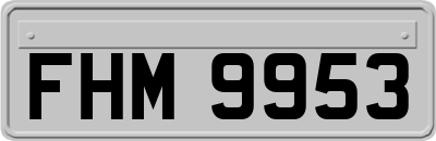FHM9953