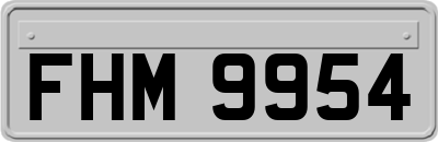 FHM9954