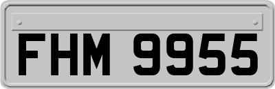 FHM9955