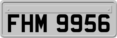 FHM9956