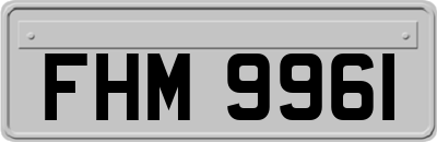 FHM9961