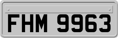 FHM9963