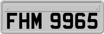 FHM9965