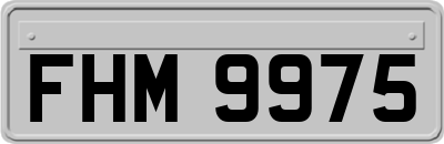 FHM9975