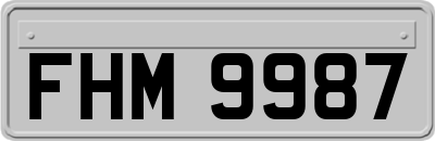 FHM9987