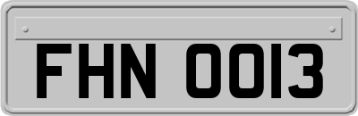 FHN0013