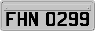 FHN0299