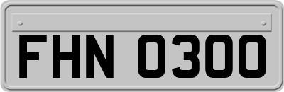 FHN0300