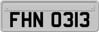 FHN0313