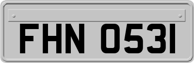 FHN0531