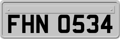 FHN0534