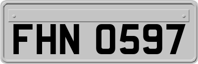 FHN0597