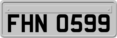 FHN0599