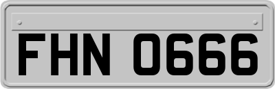 FHN0666