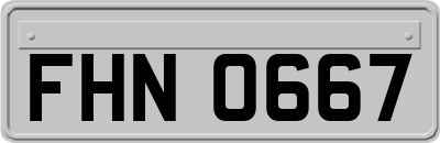 FHN0667