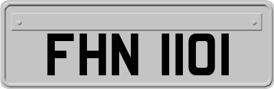 FHN1101