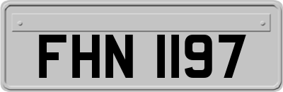 FHN1197