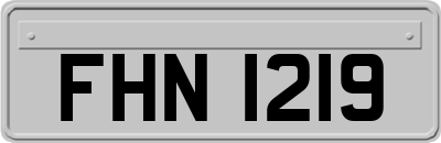 FHN1219